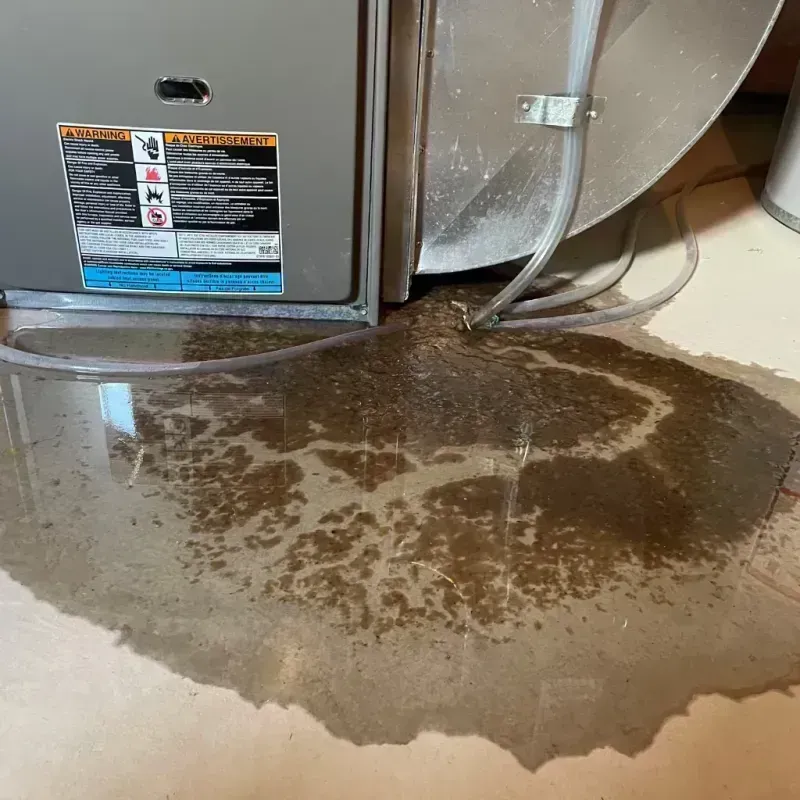 Appliance Leak Cleanup in Hart, MI